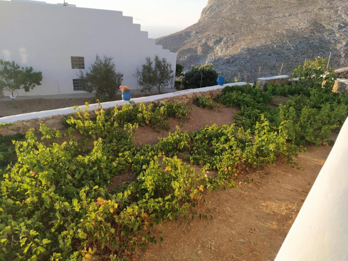 Cycladic Houses In Rural Surrounding Amorgos Exterior photo